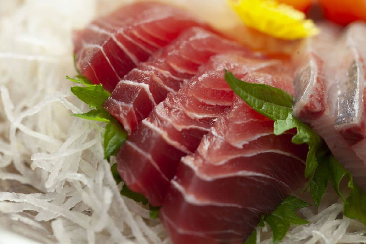 What Is Maguro The Complete Lowdown Here!